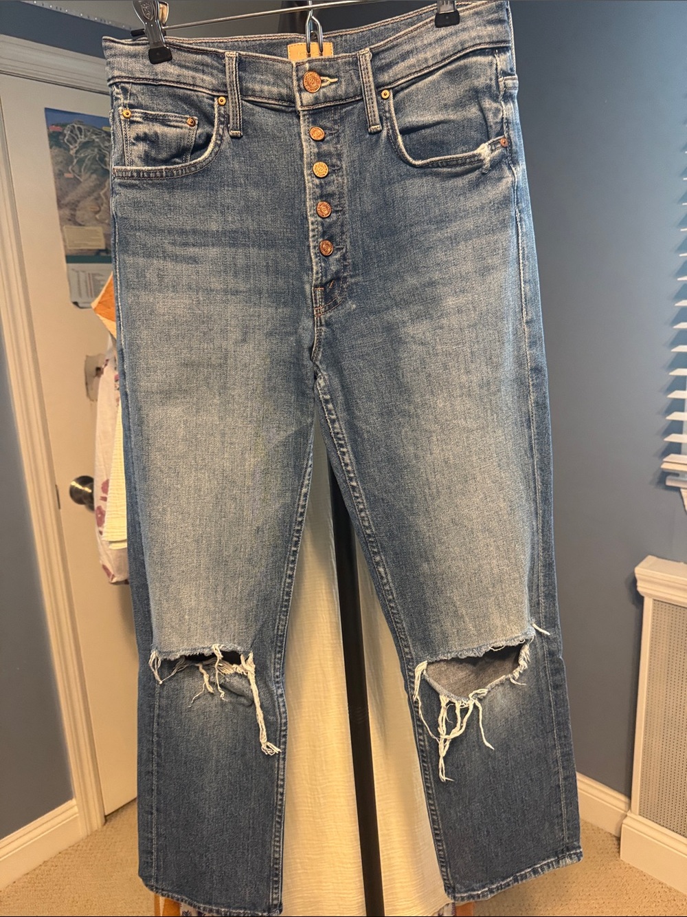 MOTHER Straight Leg - Pixie Tomcat Crop